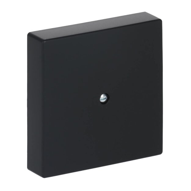 Busch-Jaeger 1745-885 Zentralscheibe (Kunststoff (lackiert)) Schwarz Matt future® linear 2CKA001710A3896