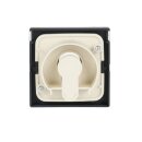 Busch-Jaeger 1755 SL/PZ-885-101 Zentralscheibe mit Beschriftungsfeld (Kunststoff (lackiert)) Schwarz Matt future® linear 2CKA001710A3902