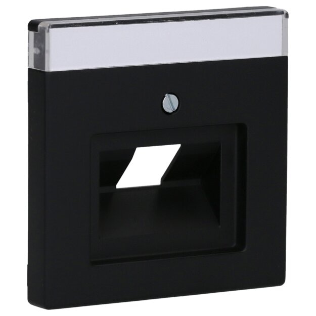 Busch-Jaeger 1803-885 Zentralscheibe (Kunststoff (lackiert)) Schwarz Matt future® linear 2CKA001710A3912