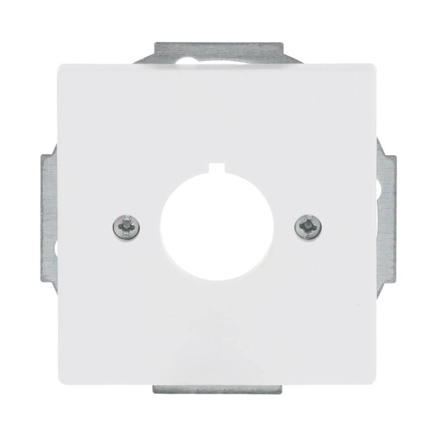 Busch-Jaeger 2533-884 Zentralscheibe mit Tragring (Kunststoff (lackiert)) Studioweiß Matt future® linear 2CKA001724A4296