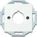 Busch-Jaeger 2533-884 Zentralscheibe mit Tragring...