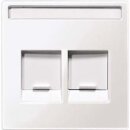 Merten MEG4564-0319 Zentralplatte für Modular Jack...