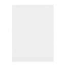 Busch-Jaeger 1799/02 DIN A4-Beschriftungsbogen Kunststofffolie (Kunststoff) Transluzent 2CKA001799A0959
