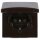 Busch-Jaeger 20 EUGK-31-101 SCHUKO® Steckdosen-Einsatz mit Klappdeckel (Thermoplast) Braun Allwetter 44® (IP 44) 2CKA002064A0286