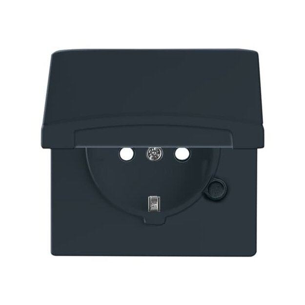 Busch-Jaeger 20 EUGKB-35-101 SCHUKO® Steckdosen-Einsatz mit Klappdeckel (Thermoplast) Anthrazit Allwetter 44® (IP 44) 2CKA002064A0295
