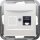 Peha 00318651 Badora UAE-Steckdose Cat6 Reinweiß 1 Terminal