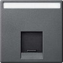 Merten MEG4573-0414 Zentralplatte für Schneider...