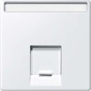 Merten MEG4573-0419 Zentralplatte für Schneider...