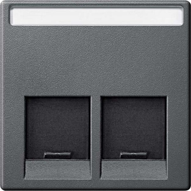 Merten MEG4574-0414 Zentralplatte für Schneider Electric-Connector 2-fach Anthrazit System M