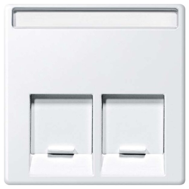 Merten MEG4574-0419 Zentralplatte für Schneider Electric-Connector 2-fach Polarweiß System M