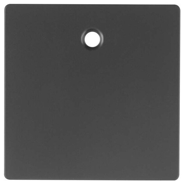 Berker 11466086 Zentralstück für Zugschalter und Zugtaster Q.1/Q.3 Anthrazit samt