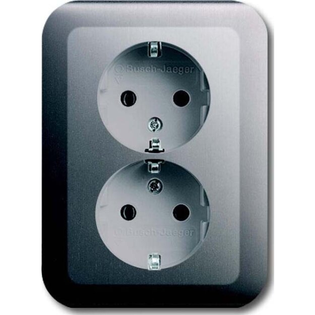Busch-Jaeger 20-02 EUJ-20 SCHUKO® Doppelsteckdose (Kunststoff (lackiert)) Platin 2CKA002014A1049