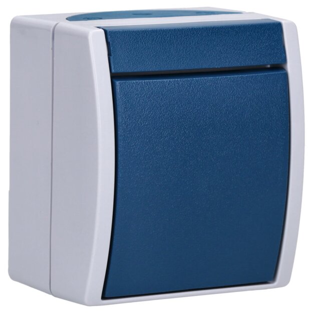 Busch-Jaeger 2601/6 W-53 Wippschalter Aus- und Wechselschaltung (Thermoplast) Grau ocean® (IP 44) Aufputz 2CKA001085A1603
