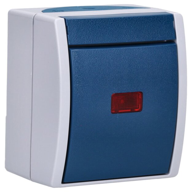 Busch-Jaeger 2601/6 SKW-53 Wippkontrollschalter Aus- und Wechselschaltung (Thermoplast) Grau ocean® (IP 44) Aufputz 2CKA001085A1607