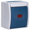 Busch-Jaeger 2601/2 SKWNH-53...