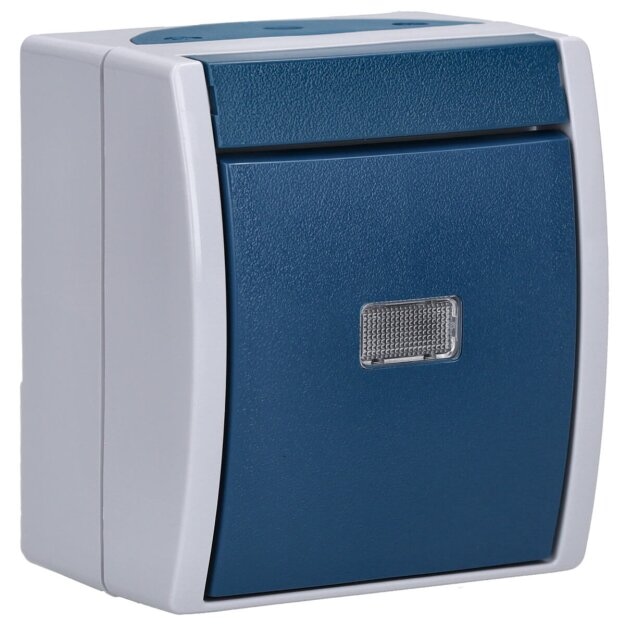Busch-Jaeger 2601/6 WGL-53 Wippschalter Aus- und Wechselschaltung (Thermoplast) Grau ocean® (IP 44) Aufputz 2CKA001085A1613