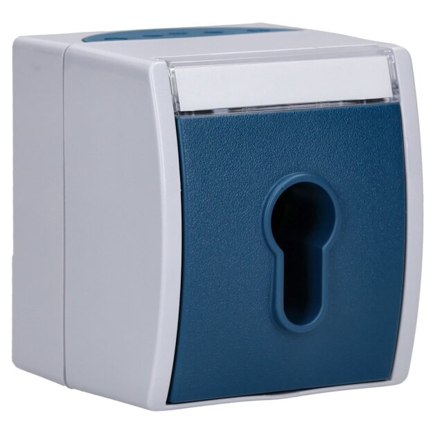 Busch-Jaeger 2733 SLW-53 Schlüsselschalter Ausschaltung, 1-polig (Thermoplast) Grau ocean® (IP 44) Aufputz 2CKA001101A0917