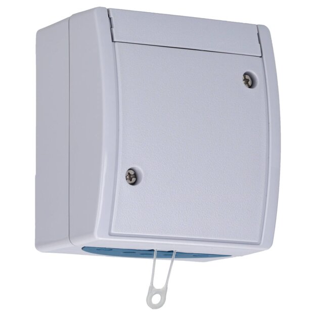 Busch-Jaeger 2610/6 W-53 Zugschalter Aus- und Wechselschaltung (Thermoplast) Grau ocean® (IP 44) Aufputz 2CKA001383A0141