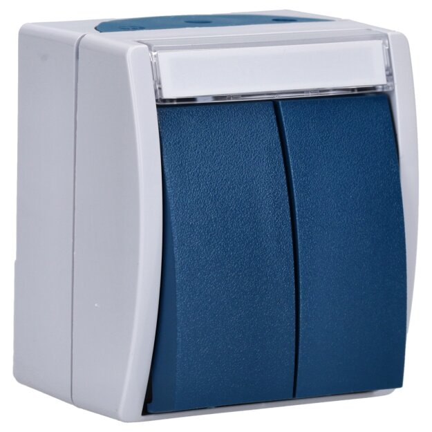 Busch-Jaeger 2621 WN-53-205-101 Doppeltaster/Serientaster 2 Schließer, 1-polig (Arbeitsstrom) (Thermoplast) Grau ocean® (IP 44) Aufputz 2CKA001484A0374