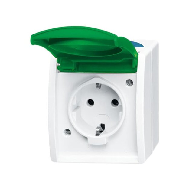 Busch-Jaeger 20 EWN-13-53 SCHUKO® Steckdose mit grünem Klappdeckel (Thermoplast) Grau ocean® (IP 44) Aufputz Steckdose 2CKA002083A0819