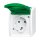 Busch-Jaeger 20 EWN-13-53 SCHUKO® Steckdose mit grünem Klappdeckel (Thermoplast) Grau ocean® (IP 44) Aufputz Steckdose 2CKA002083A0819