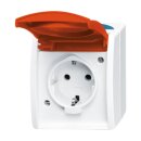 Busch-Jaeger 20 EWN-14-53 SCHUKO® Steckdose mit...
