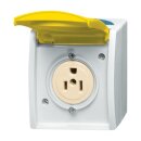 Busch-Jaeger 3015 EWN-53 Busch-Nema-Steckdose mit gelbem...
