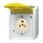 Busch-Jaeger 3015 EWN-53 Busch-Nema-Steckdose mit gelbem Klappdeckel (Thermoplast) Grau 2CKA002124A0023