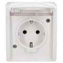 Busch-Jaeger 20 EW-54 SCHUKO® Steckdose mit...