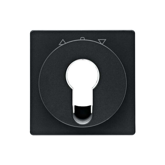 Berker 15066086 Zentralstück für Jalousie-Schlüsselschalter/-taster Q.1/Q.3 Anthrazit samt