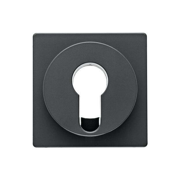Berker 15076086 Zentralstück für Schlüsselschalter/-taster Q.1/Q.3 Anthrazit samt