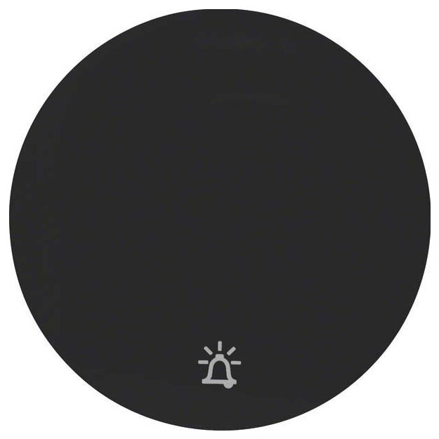 Berker 16202025 Wippe mit Aufdruck Symbol Klingel R.1/R.3 Schwarz glänzend