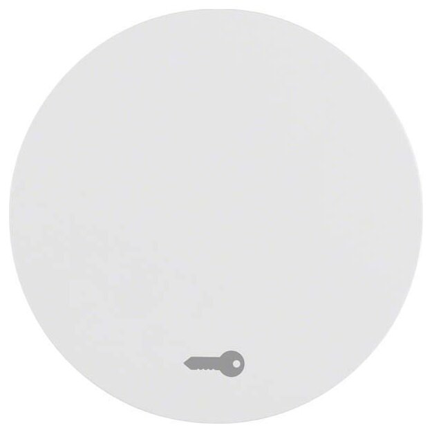 Berker 16202059 Wippe mit Aufdruck Symbol Tür R.1/R.3 Polarweiß glänzend