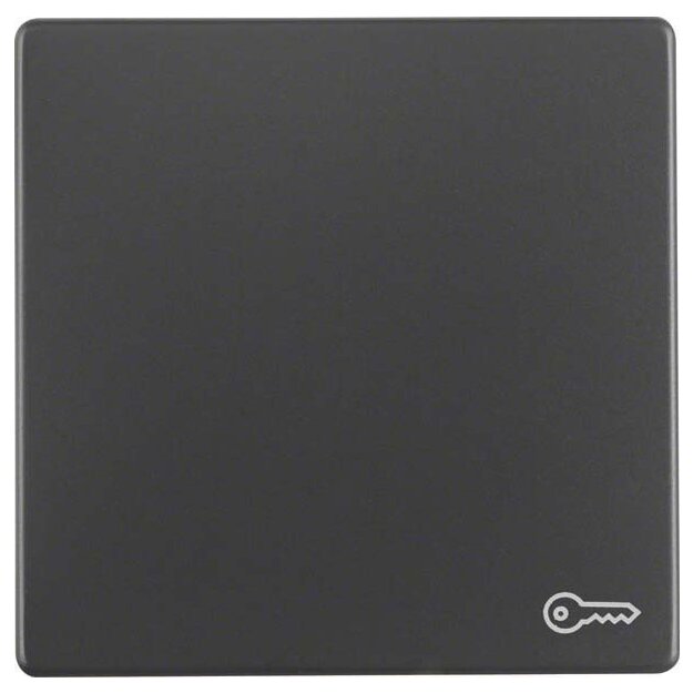 Berker 16206066 Wippe mit Aufdruck Symbol Tür Q.1/Q.3 Anthrazit samt