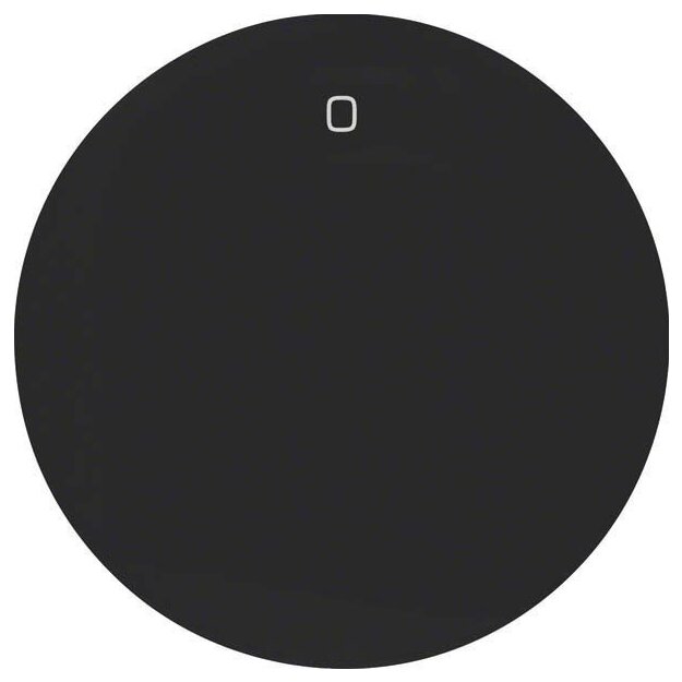 Berker 16222045 Wippe mit Aufdruck 0 R.1/R.3 Schwarz glänzend
