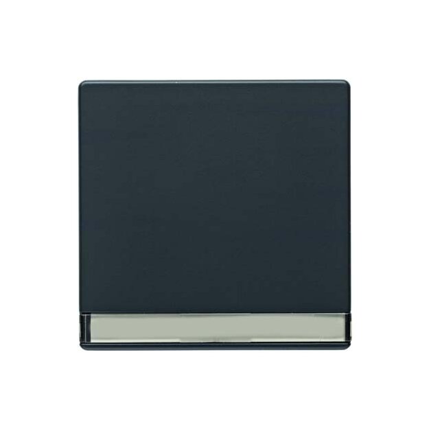 Berker 16266086 Wippe mit Beschriftungsfeld Q.1/Q.3 Anthrazit samt