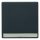 Berker 16266086 Wippe mit Beschriftungsfeld Q.1/Q.3 Anthrazit samt