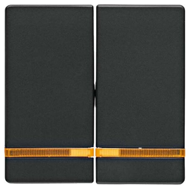Berker 16276086 Wippe 2-fach mit Linse Q.1/Q.3 Anthrazit samt