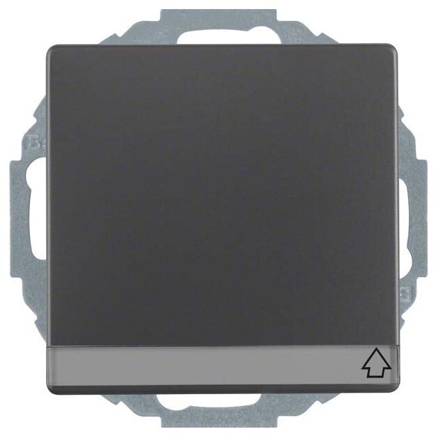 Berker 47466086 Steckdose SCHUKO mit Klappdeckel und Beschriftungsfeld Q.1/Q.3 Anthrazit samt
