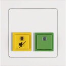 Berker 52056099 Abstell-/Anwesenheitstaster mit Rahmen...