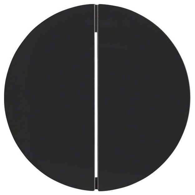 Berker 85142131 Taste 2-fach R.1/R.3 Schwarz glänzend