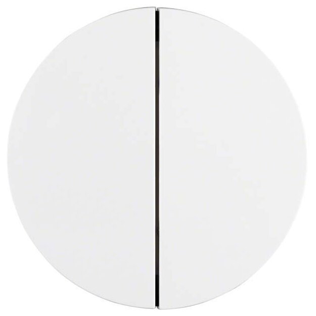 Berker 85142139 Taste 2-fach R.1/R.3 Polarweiß glänzend