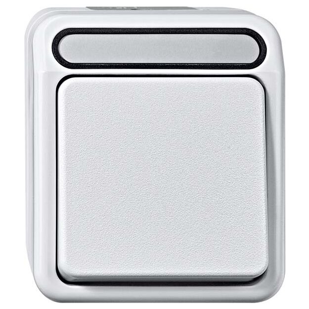 Merten MEG3156-8029 Taster mit N-Klemme Wechsel 1-polig Lichtgrau AQUASTAR