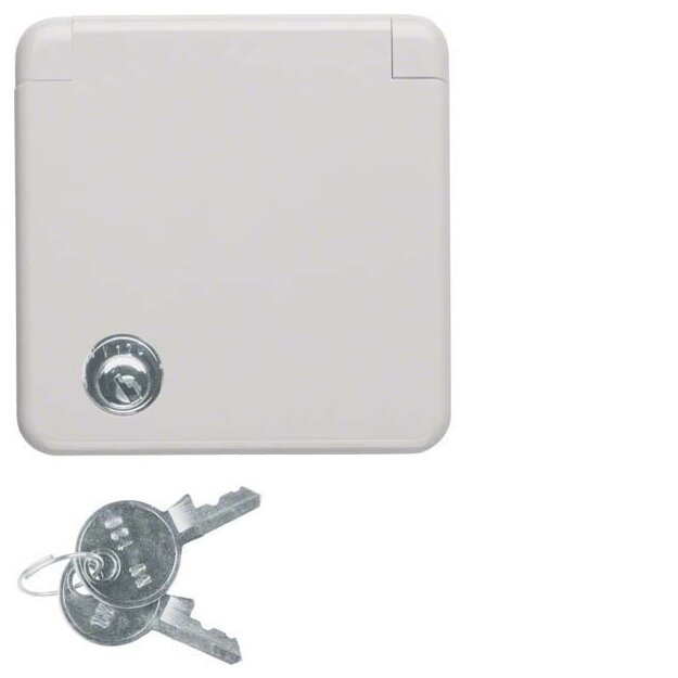Berker 4212 Steckdose SCHUKO mit Abdeckplatte und Klappdeckel und Schloss wg Unterputz IP44 Grau glänzend