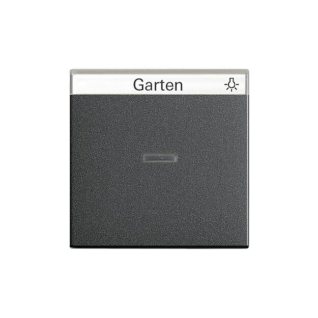 Gira 067028 Wippe Kontrollfunktion + Beschriftungsfeld System 55 Anthrazit