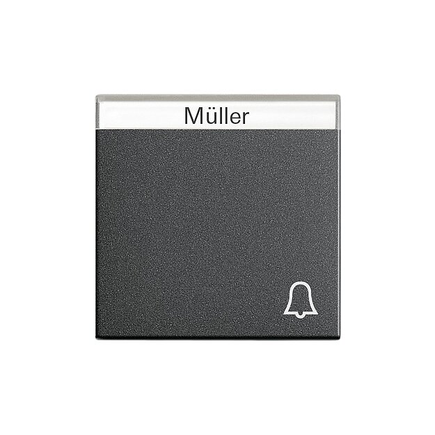 Gira 067328 Wippe Symbol Klingel + Beschriftungsfeld System 55 Anthrazit