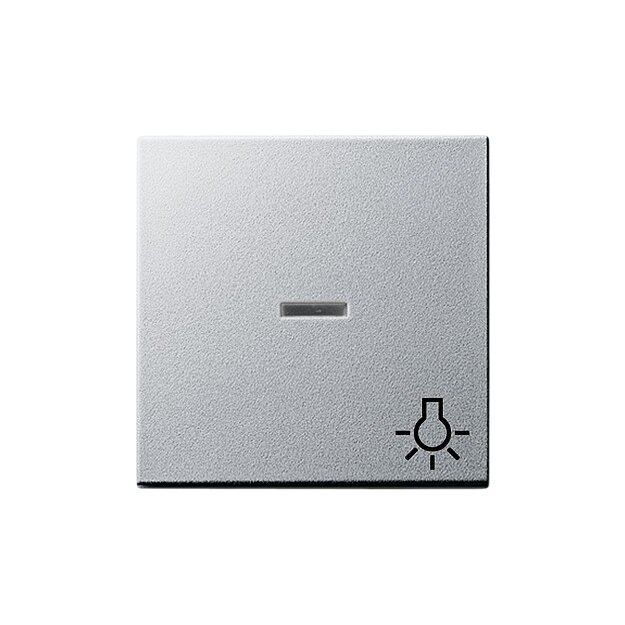 Gira 067426 Wippe Kontrollfunktion + Symbol Licht System 55 Farbe Alu