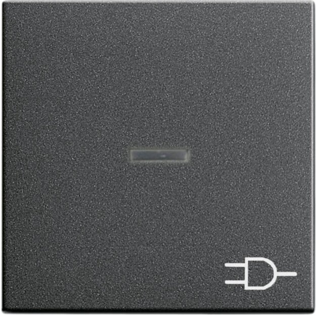 Gira 020928 Wippe Kontrollfunktion + Symbol Steckdose System 55 Anthrazit