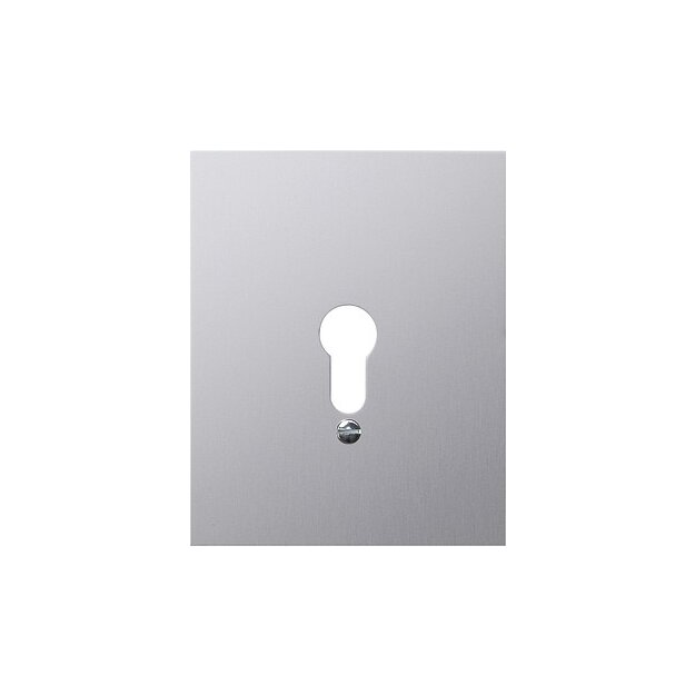 Gira 009830 MetallAbdeckung o.Symbole WG AP Aluminium