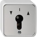 Gira 014430 Schlüsselschalter 2-polig WG AP Grau